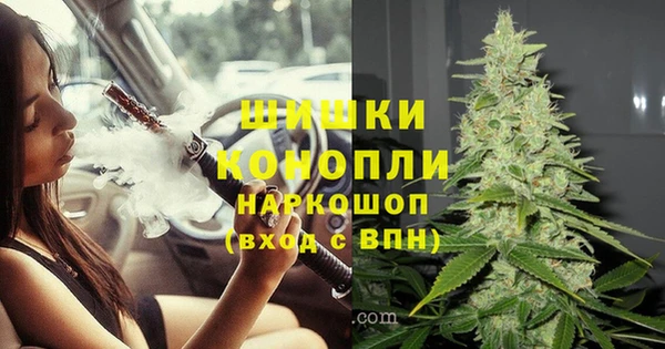 PSILOCYBIN Армянск